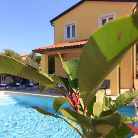 Beautiful Ii With Pool Near The Aquapark In Porec *